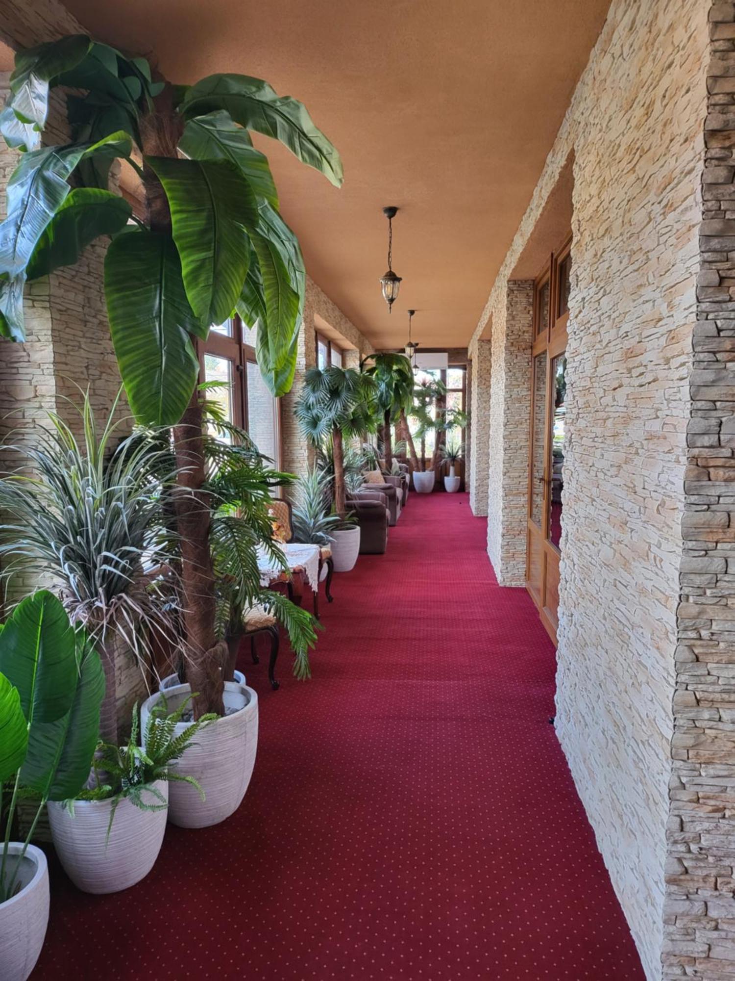 Voeroes Alom Panzio Bed & Breakfast Tiszakecske Bagian luar foto